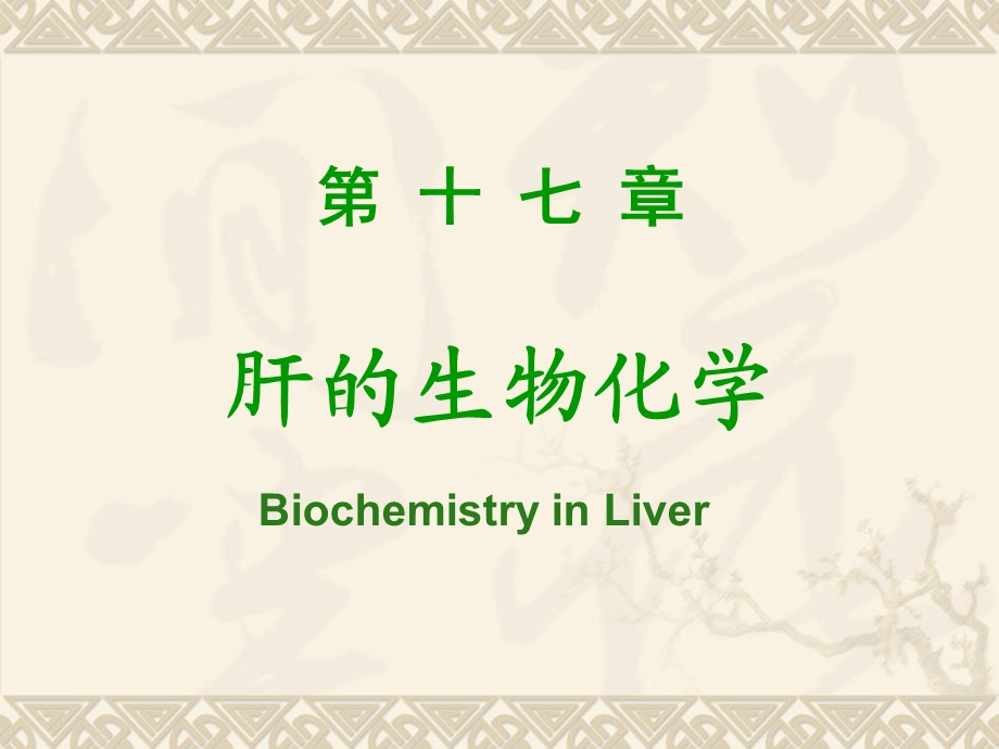 肝的生物化学I模块.ppt_第1页