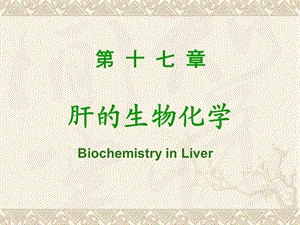 肝的生物化学I模块.ppt