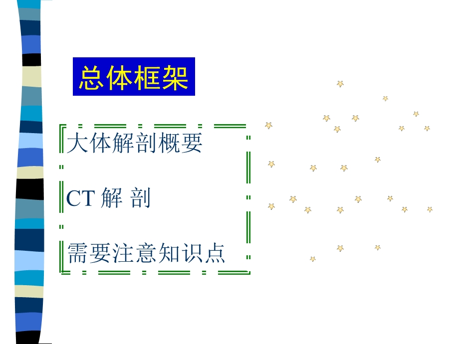 肝胆胰脾CT解剖.ppt_第2页