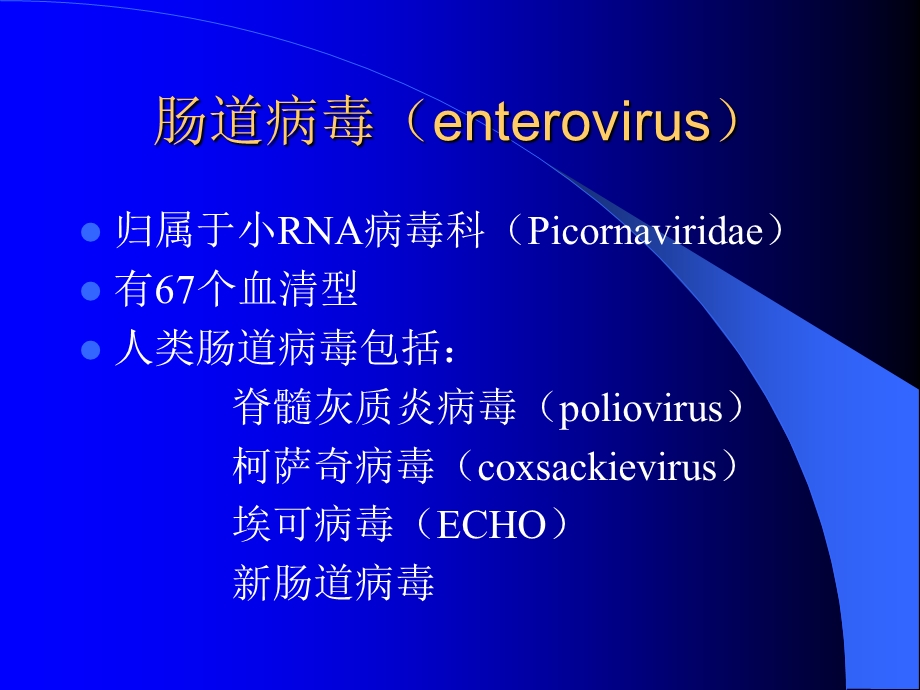 肠道病毒(enterovirus).ppt_第1页