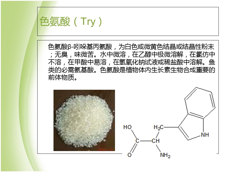 饲料色氨酸含量测定.ppt_第2页