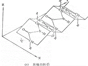 蛋白质和蛋白质药物.ppt