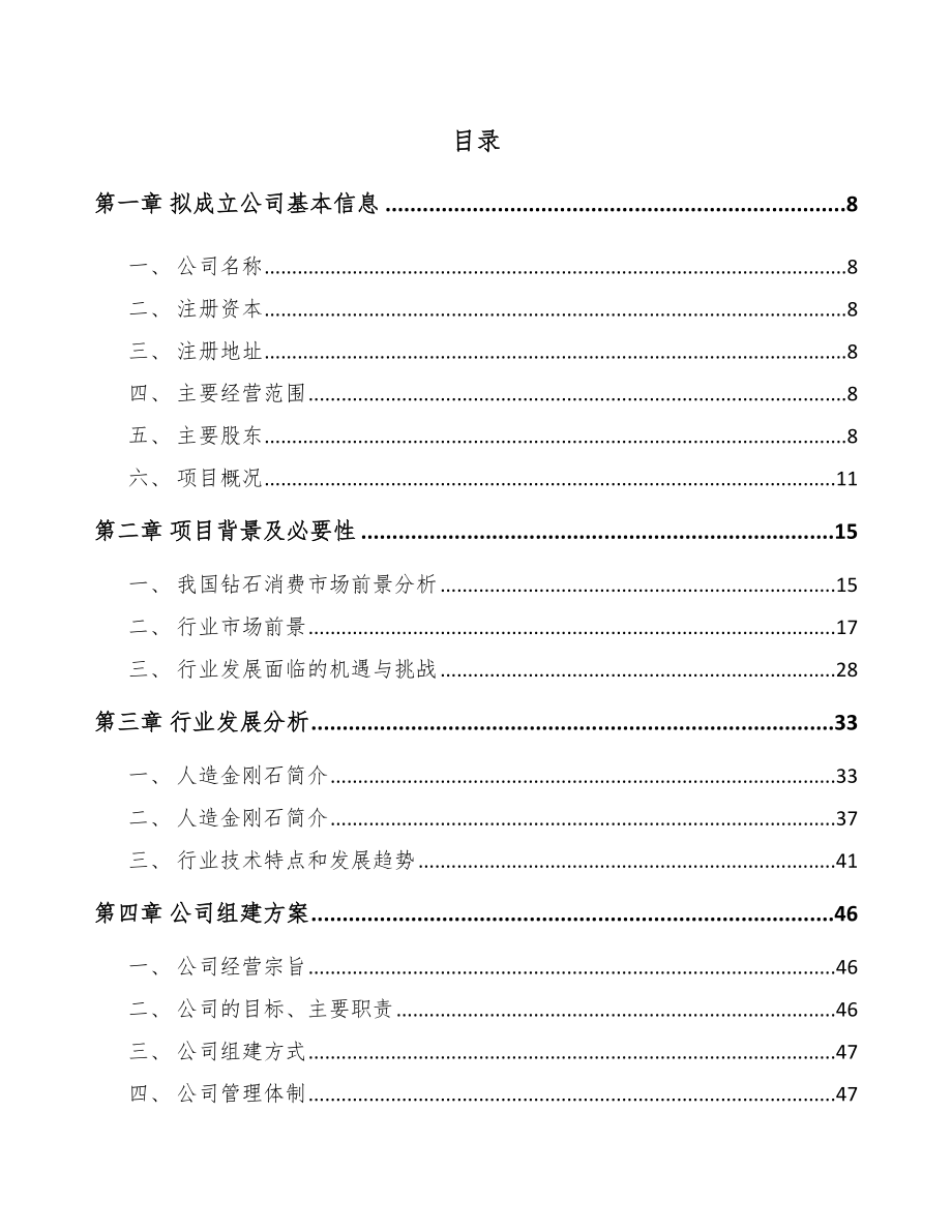 山西关于成立金刚石公司可行性研究报告.docx_第2页