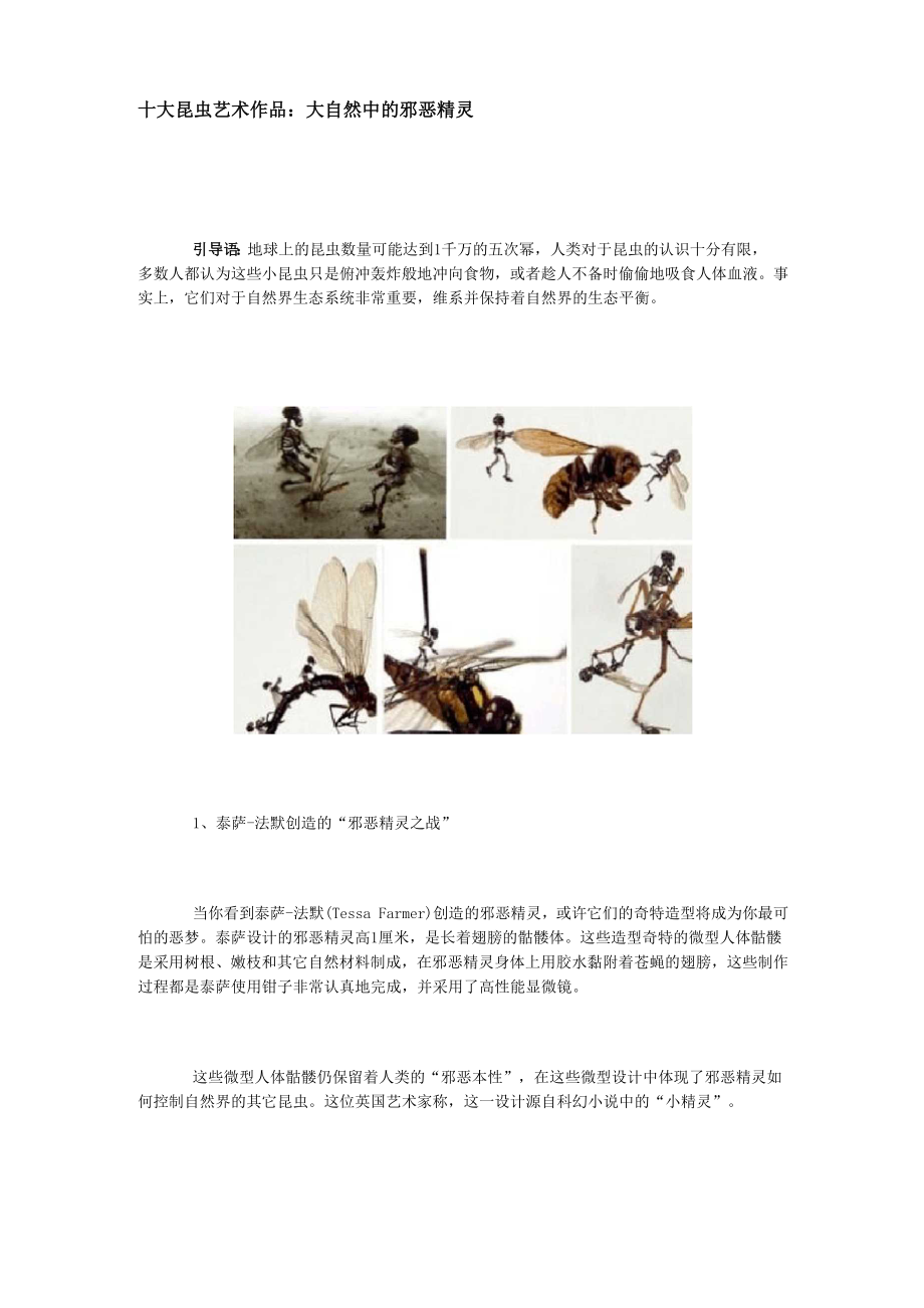 十大昆虫艺术作品.docx_第1页
