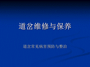 道岔维修与保养-定稿.ppt