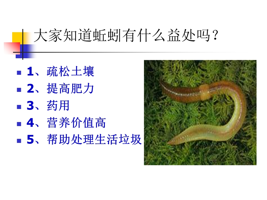 蚯蚓适应土壤中生活的特征.ppt_第2页