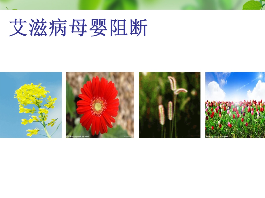 艾滋病母婴阻断.ppt_第1页