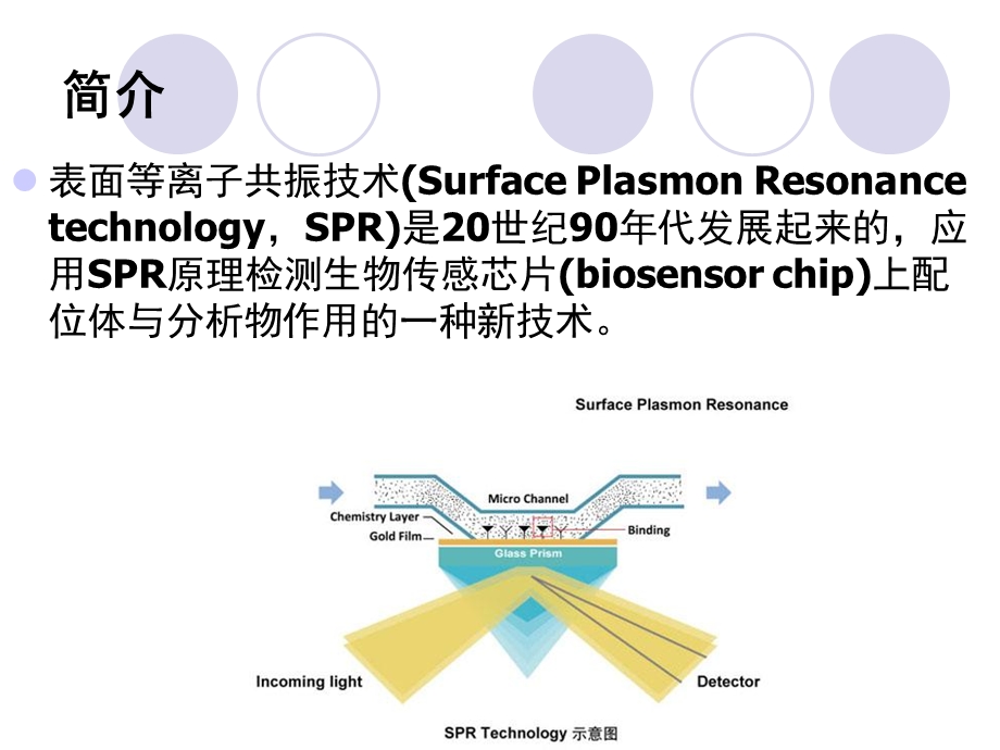 表面等离子体共振.ppt_第2页