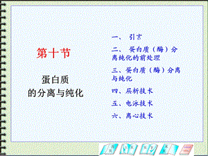 蛋白质分离技术(全).ppt
