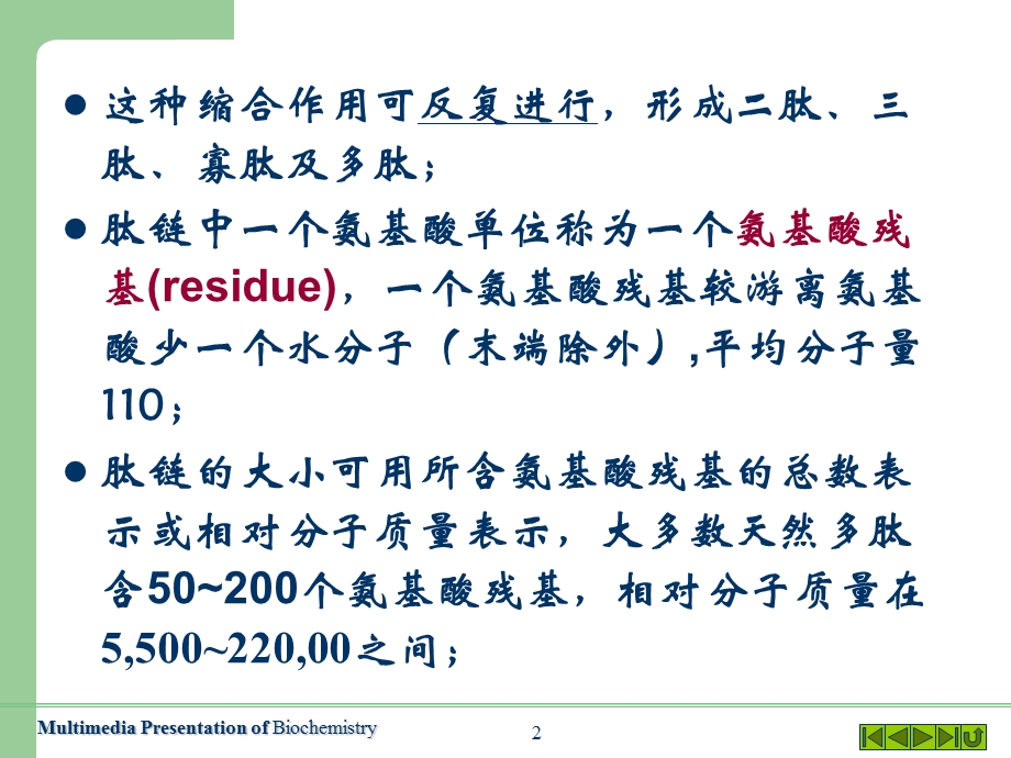 蛋白质的一级结构.ppt_第2页