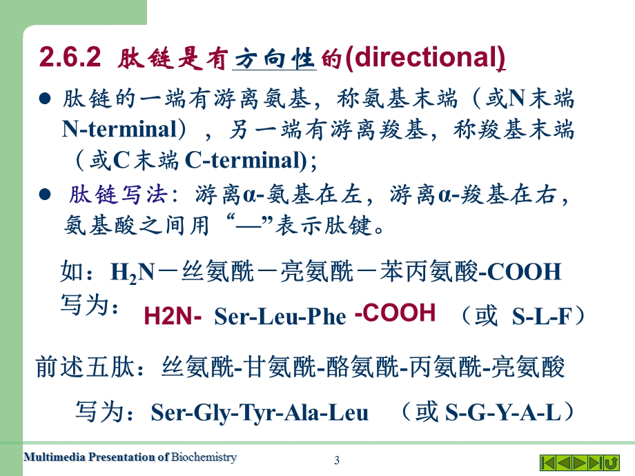 蛋白质的一级结构.ppt_第3页