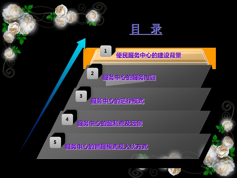 社区便民服务中心项目计划书.ppt_第2页