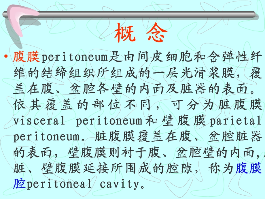 腹膜与腹膜腔解剖详谈.ppt_第2页