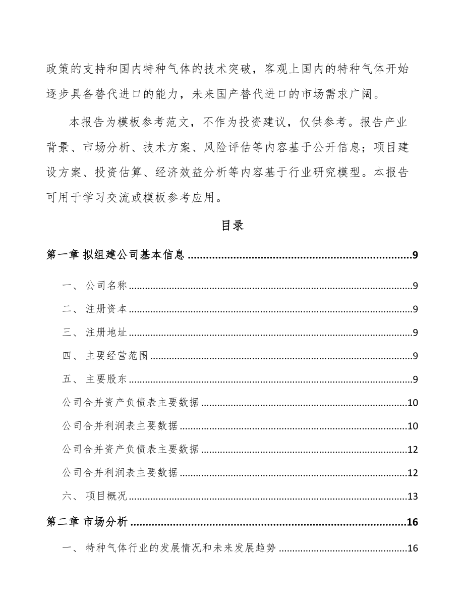 山西关于成立特种气体公司可行性研究报告.docx_第3页