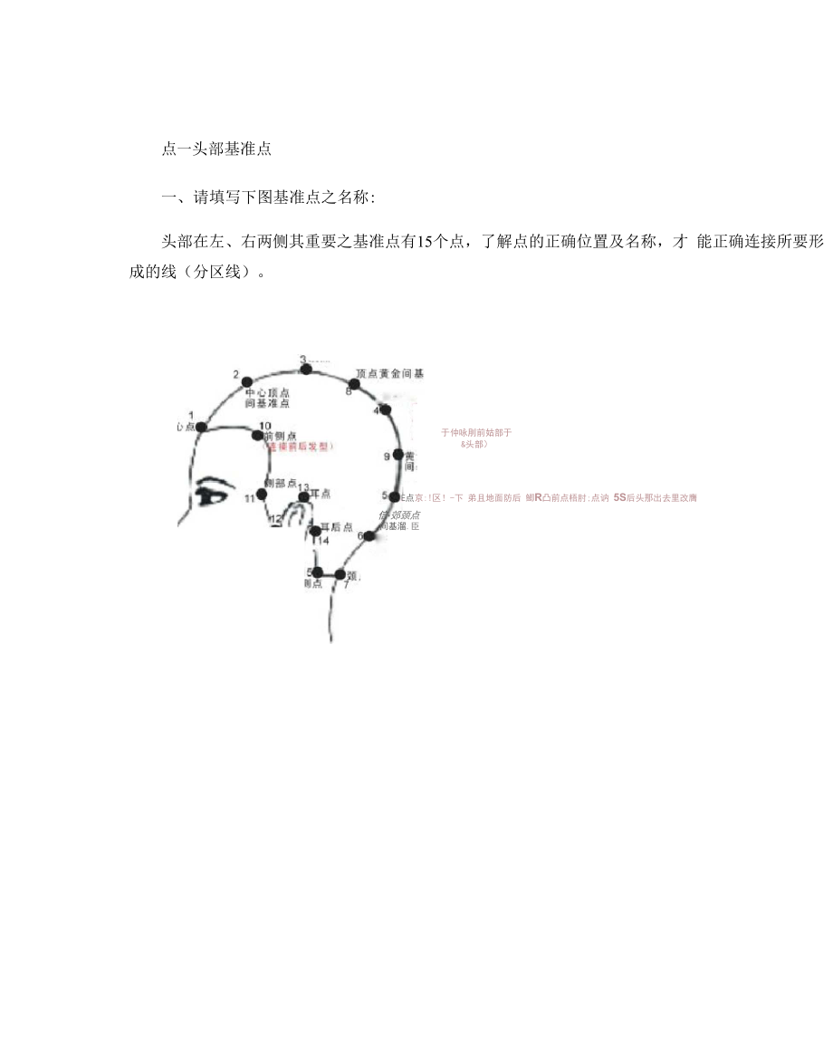 发型师必备美发基础点、线、面剪发知识..docx_第1页