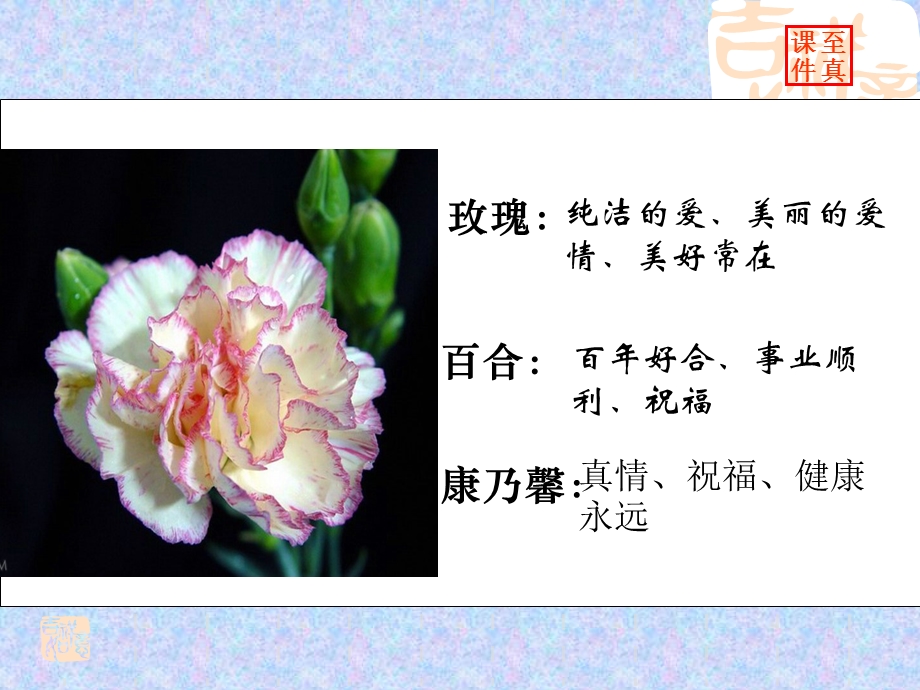 高二语文铃兰花.ppt_第1页