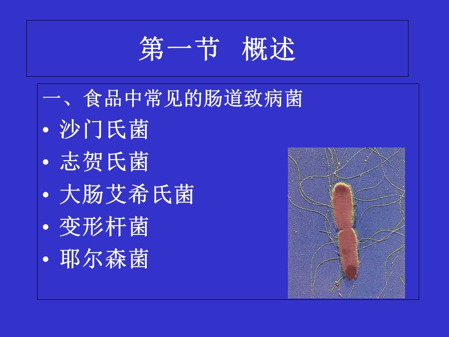 肠道致病菌检验.ppt_第2页