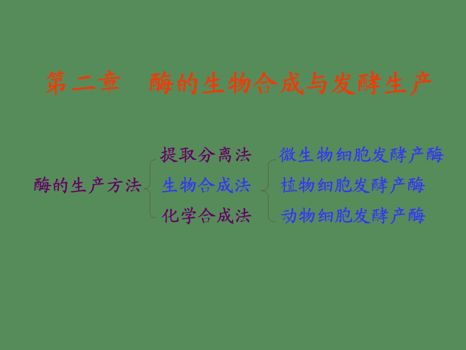 酶的发酵工程.ppt_第1页