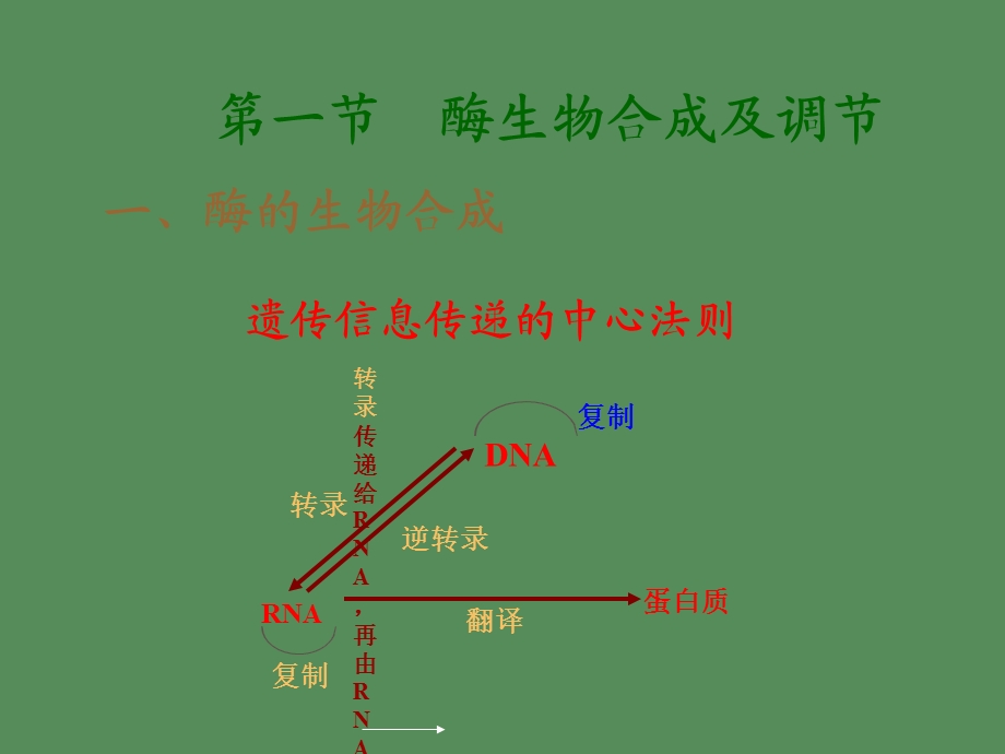 酶的发酵工程.ppt_第2页