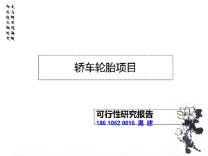 轿车轮胎项目可行研究报告.ppt