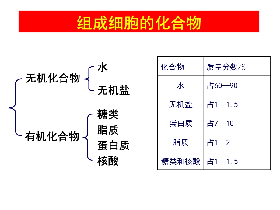 蛋白质和核酸复习.ppt_第1页