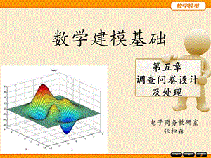 调查问卷设计及处理.ppt