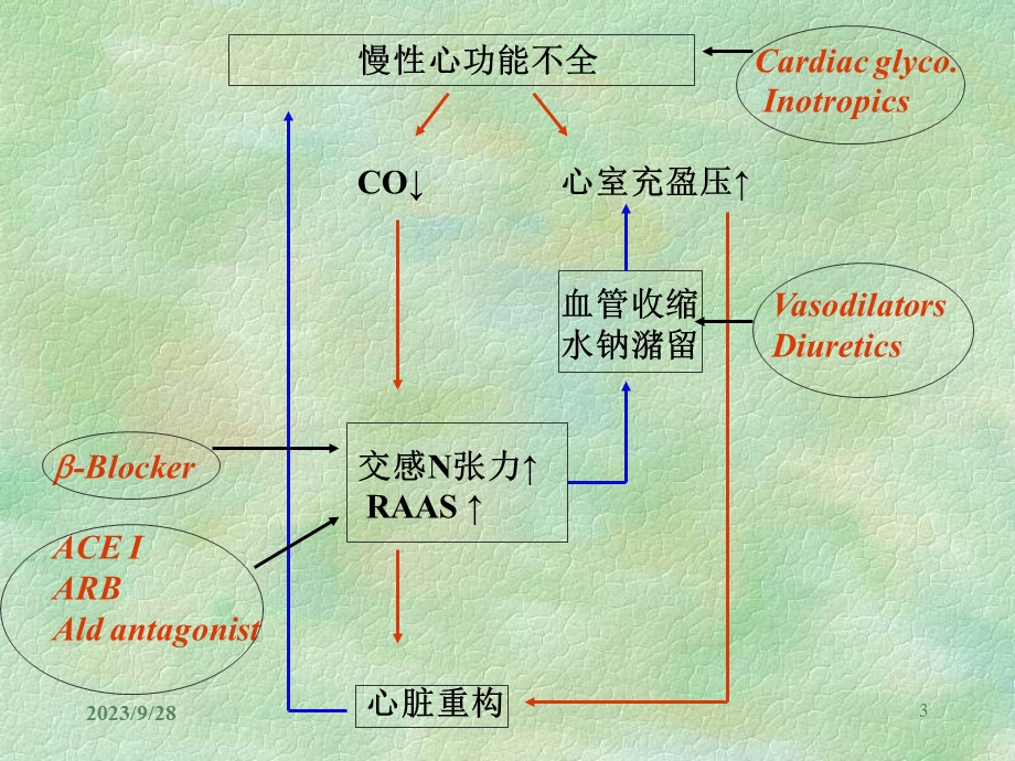 治疗慢性心功能不全的药物进展.ppt_第3页