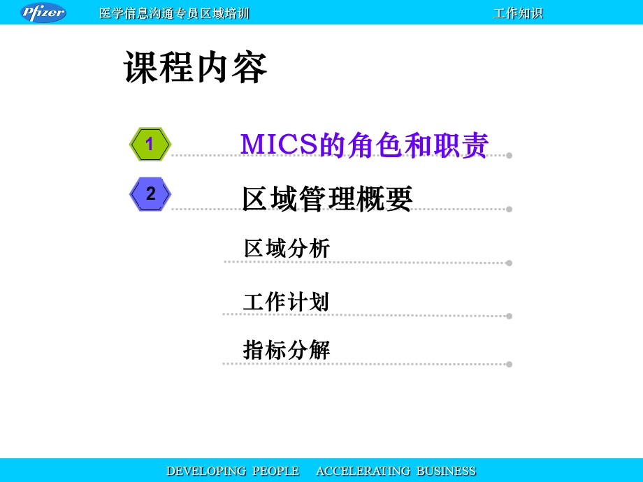 辉瑞医药代表的工作知识.ppt_第3页