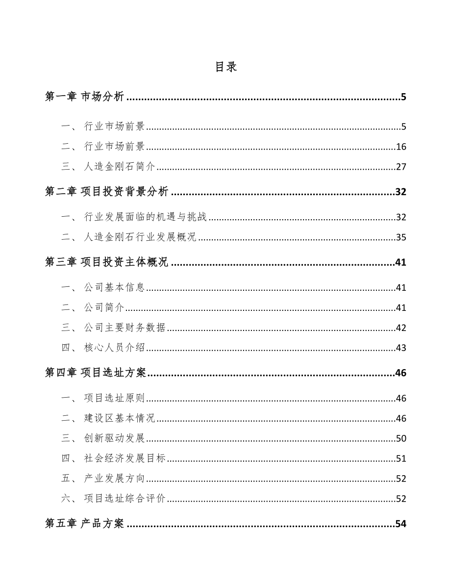 山东金刚石项目可行性研究报告.docx_第1页