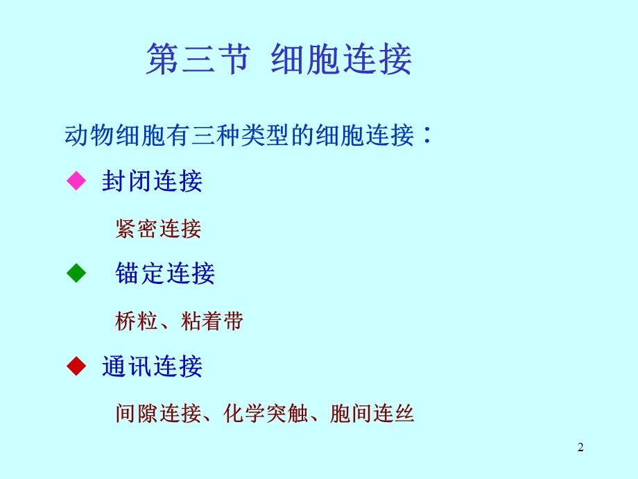 竞赛辅导课件细胞连接.ppt_第2页