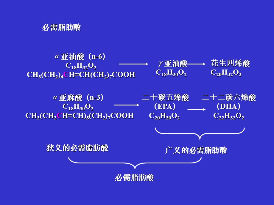 部分家禽的脂肪酸营养(拷贝).ppt_第3页