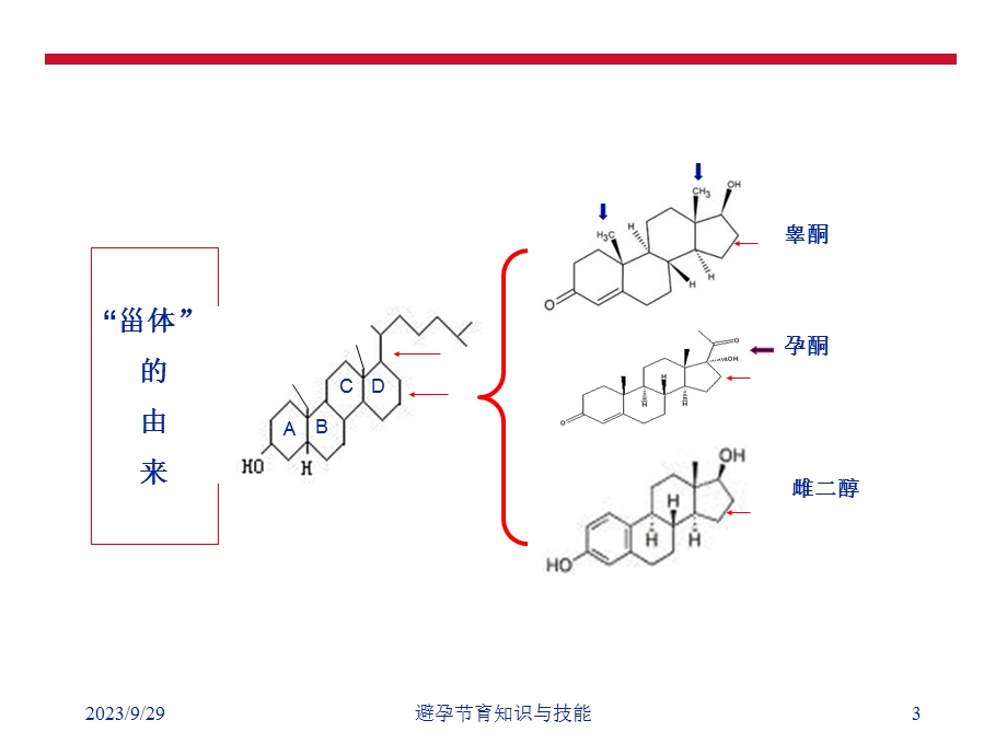 避孕节育知识与技能.ppt_第3页