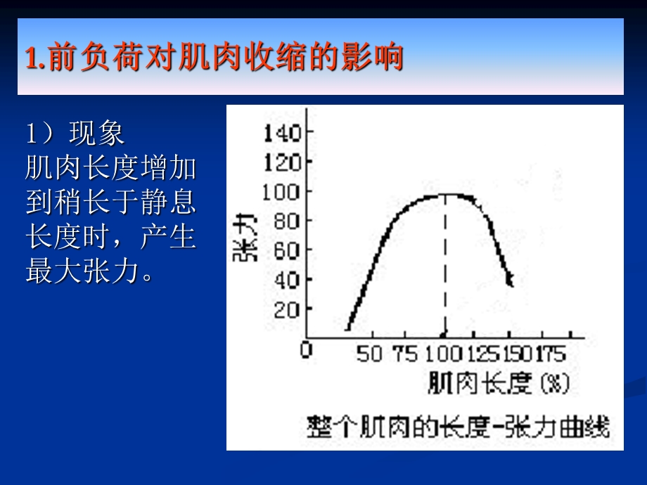 肌肉收缩的力学分析.ppt_第3页