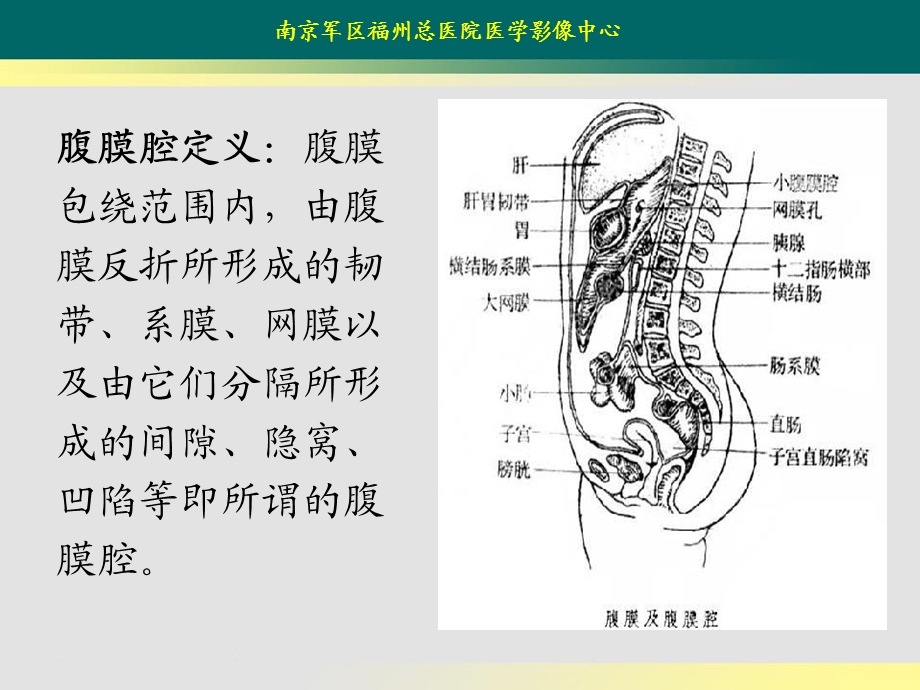 腹膜腔分区及影像学表现.ppt_第2页