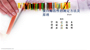 蛋白酶活性的测定方法.ppt