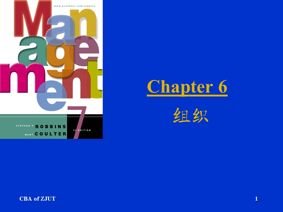 管理学第六章组织.ppt_第1页