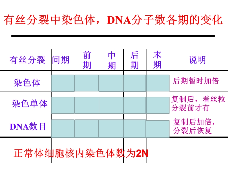 观察植物根尖分生组织细胞的有丝分裂.ppt_第2页