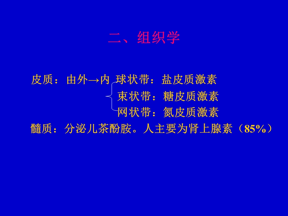 高血压与肾上腺的关系.ppt_第3页