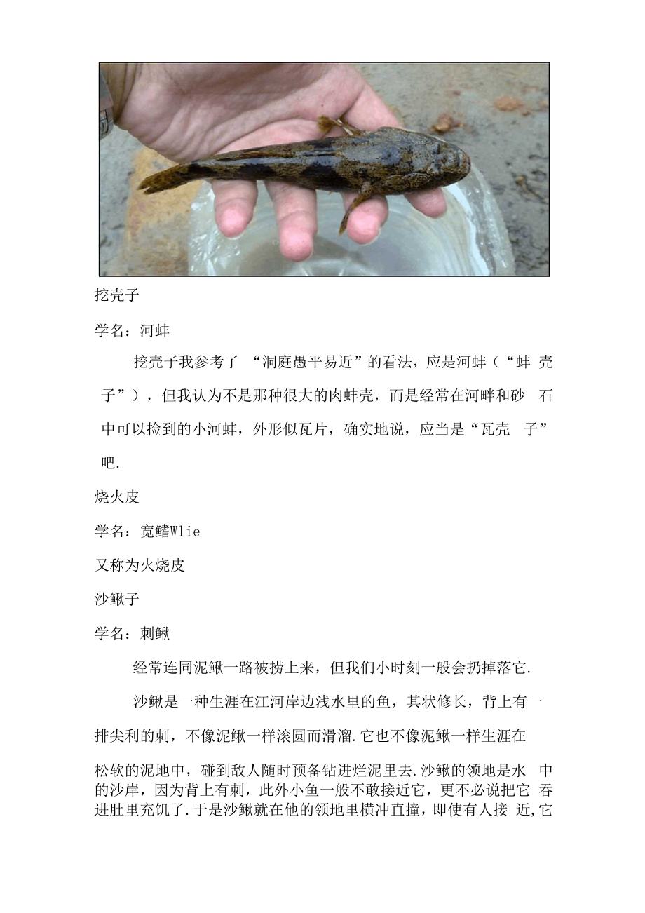 南洞庭湖区常见的鱼类介绍.docx_第3页