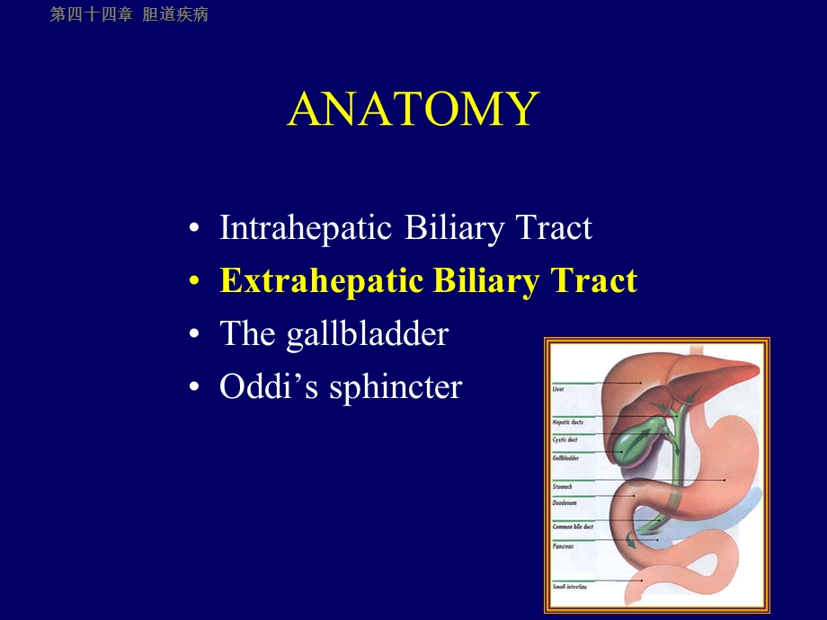 胆道疾病刘斌双语.ppt_第2页