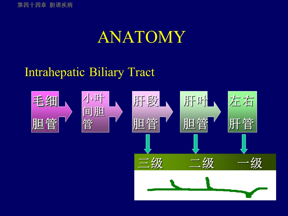 胆道疾病刘斌双语.ppt_第3页