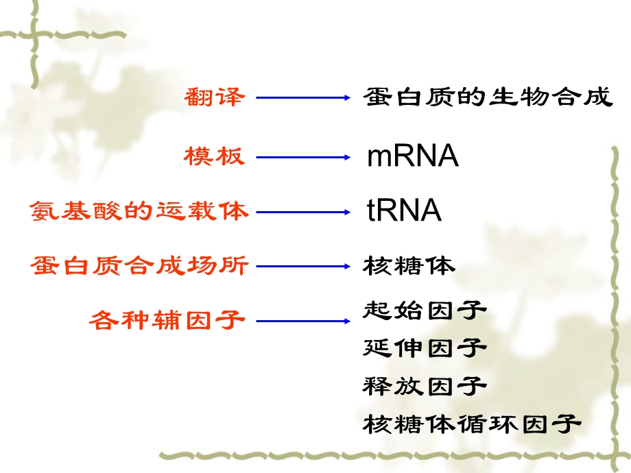 蛋白质生物合成讲.ppt_第2页