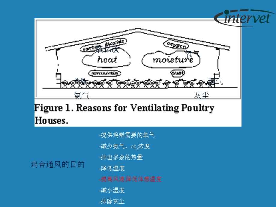 肉鸡养殖通风和防暑管理.ppt_第3页