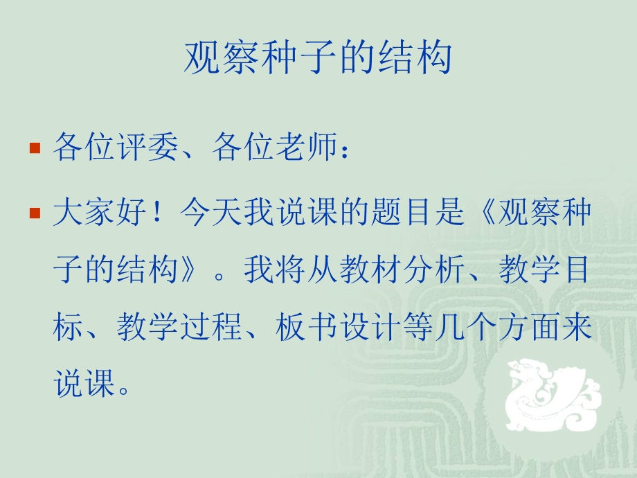 观察种子的结构(实验).ppt_第3页