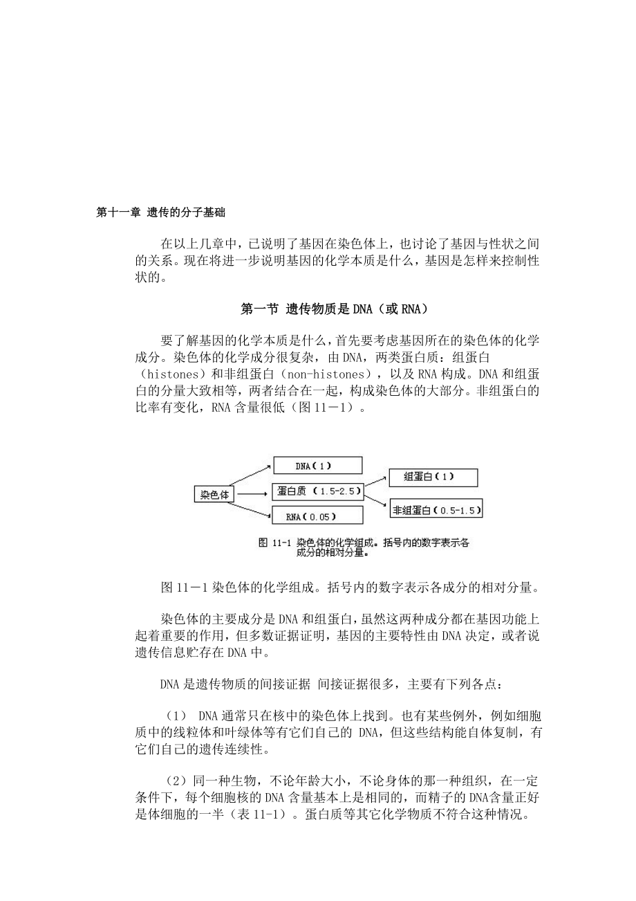 第十一章 遗传的分子基础.doc_第1页