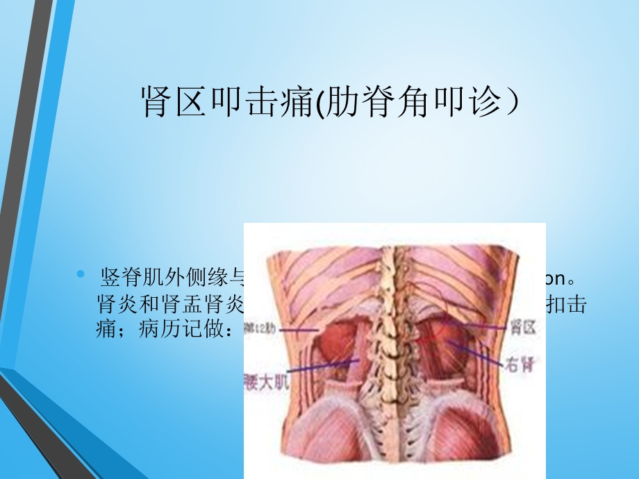 肾及输尿管压痛点.ppt_第3页