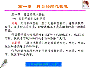 贝类的形态构造.ppt