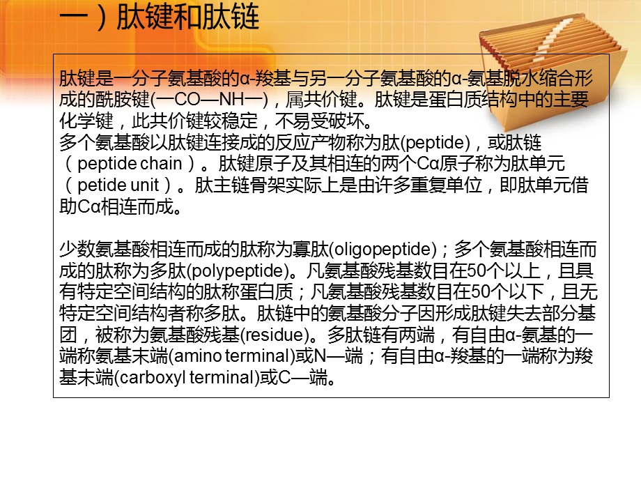 蛋白质四级结构.ppt_第2页