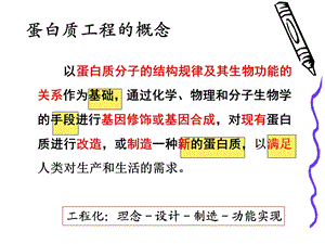 蛋白质工程重点.ppt