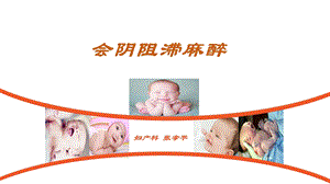 课件会阴阻滞麻醉课件.ppt